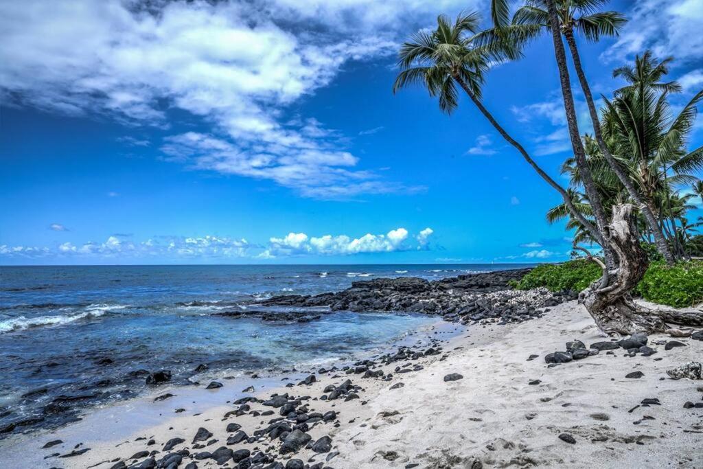 Newly Upgraded 1Br Unit Near Beach Max Of 5 Guests Kailua-Kona Exteriér fotografie