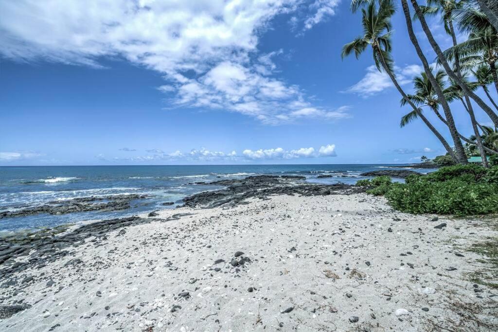 Newly Upgraded 1Br Unit Near Beach Max Of 5 Guests Kailua-Kona Exteriér fotografie