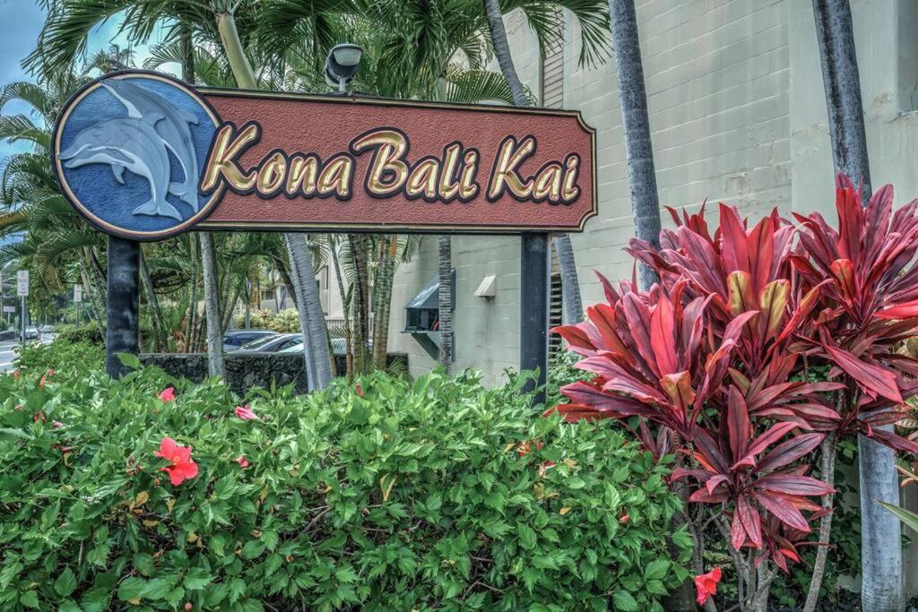 Newly Upgraded 1Br Unit Near Beach Max Of 5 Guests Kailua-Kona Exteriér fotografie