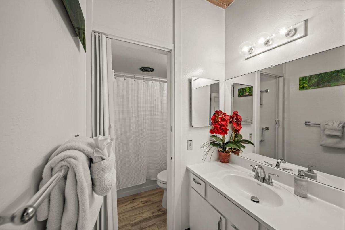 Newly Upgraded 1Br Unit Near Beach Max Of 5 Guests Kailua-Kona Exteriér fotografie